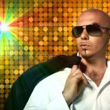 Pitbull