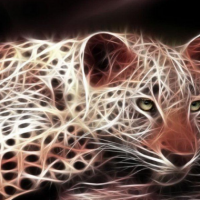 sarahB9633's picture